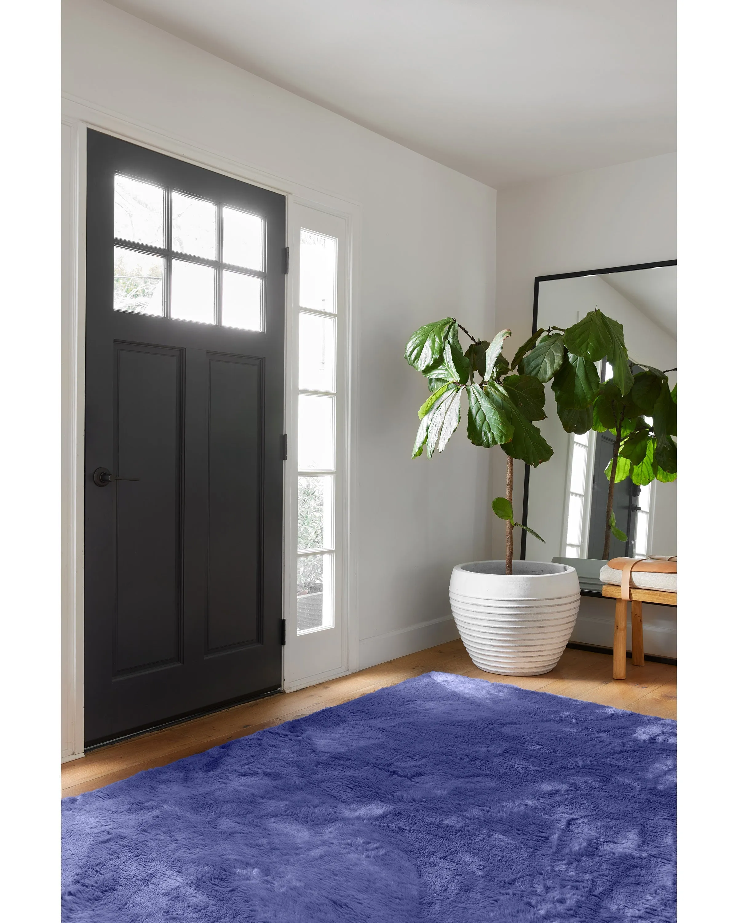 Azure Blue Plush Rug
