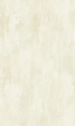 Brockhall Minimalist Shine Wallpaper NH20704