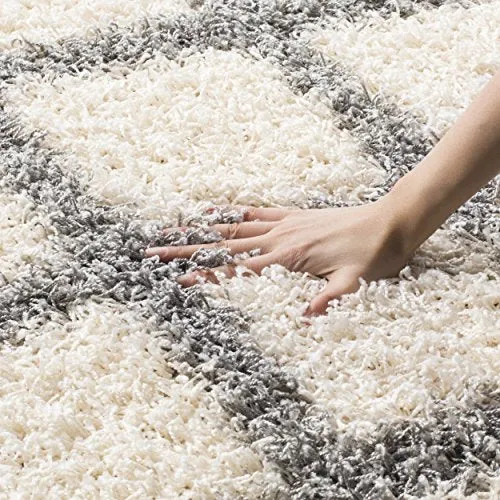Dallas Shag Collection  Ivory and Grey Area Rug (8' x 10')