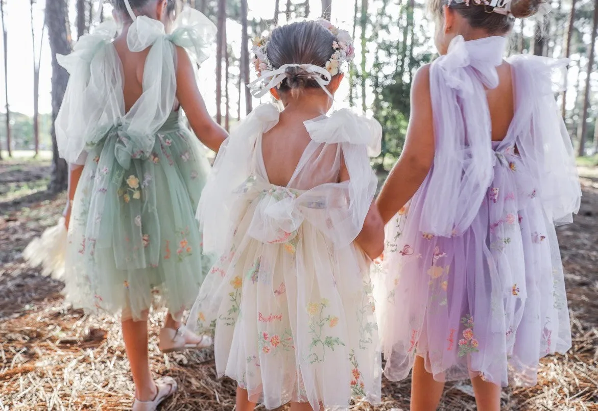 Enchanted Fairy Embroidered Dress in Green