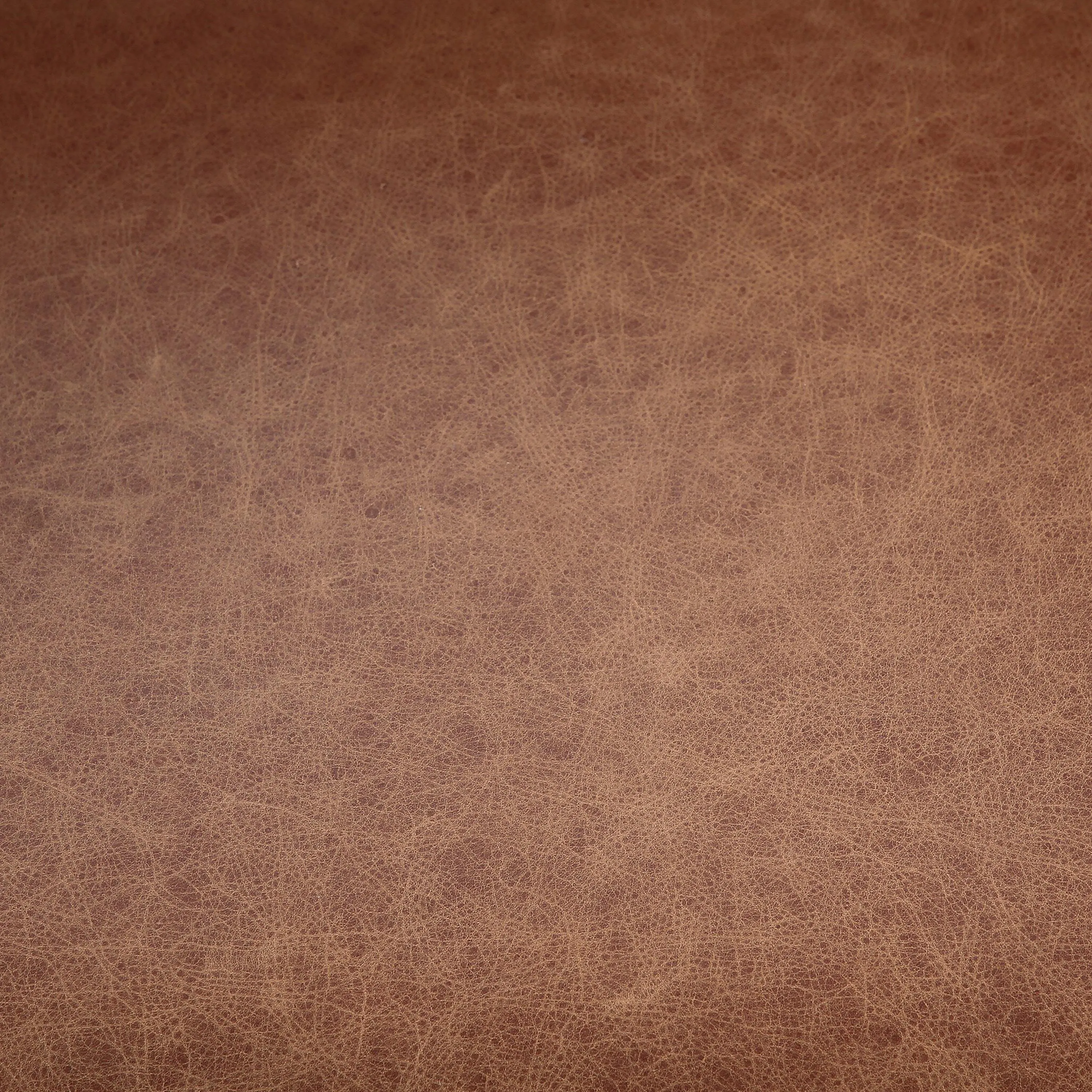 Slim Leather Dining Chair