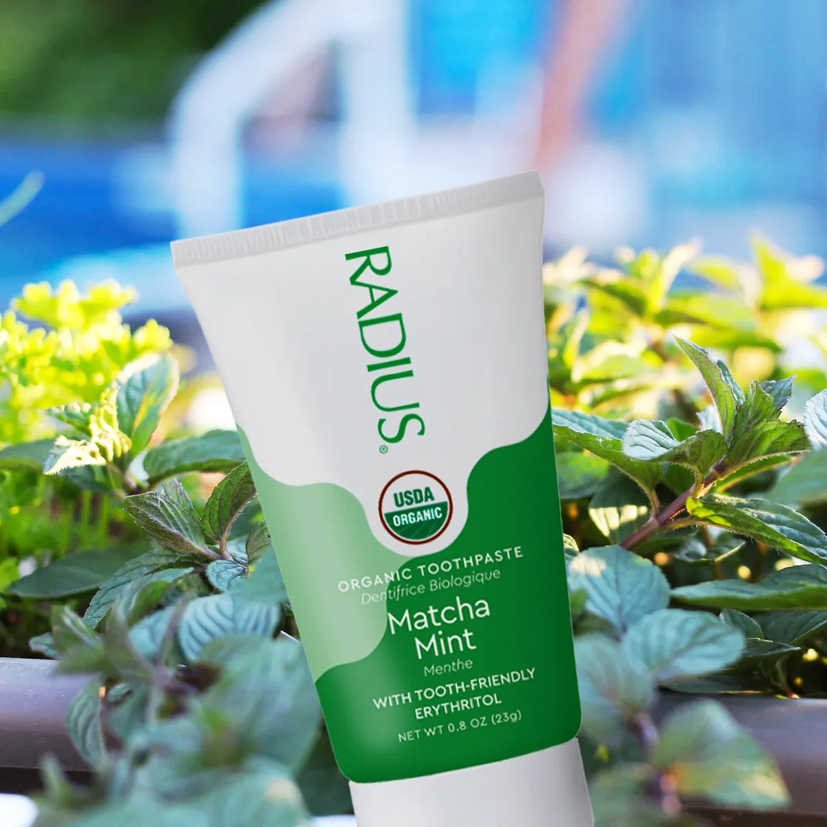 Travel/Trial-Size USDA Organic Matcha Mint Toothpaste