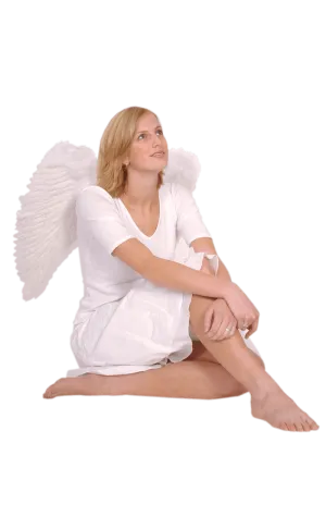 White Angel Wings 65x65cm